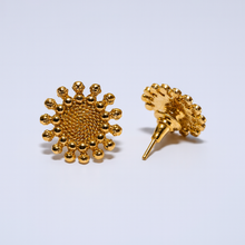 Temple Choker Set – Traditional Gold-Toned Necklace with Earrings